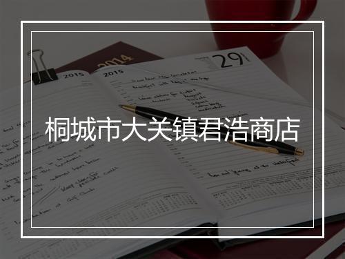 桐城市大关镇君浩商店