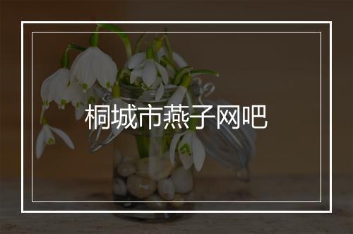 桐城市燕子网吧