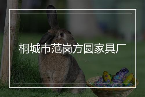 桐城市范岗方圆家具厂