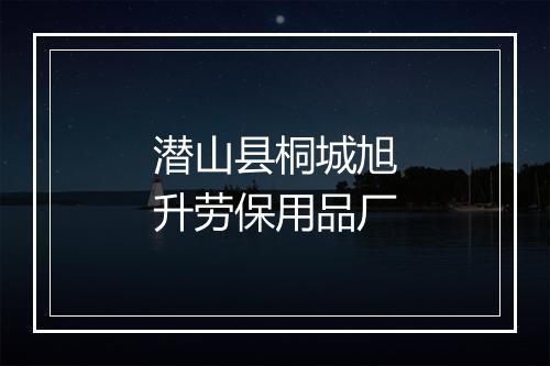 潜山县桐城旭升劳保用品厂