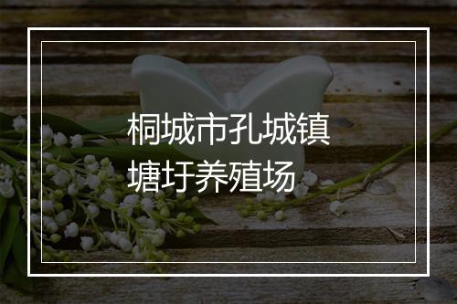 桐城市孔城镇塘圩养殖场