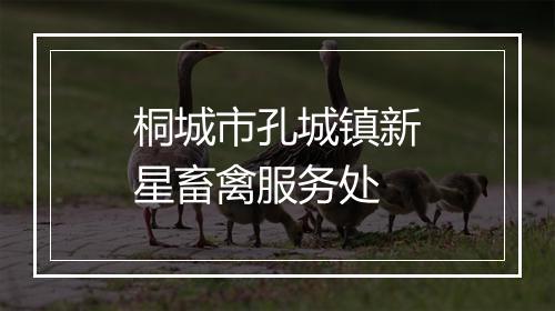桐城市孔城镇新星畜禽服务处