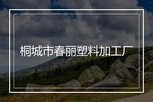桐城市春丽塑料加工厂