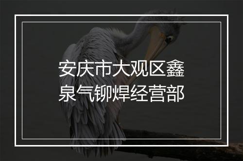 安庆市大观区鑫泉气铆焊经营部