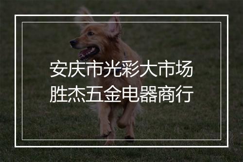 安庆市光彩大市场胜杰五金电器商行