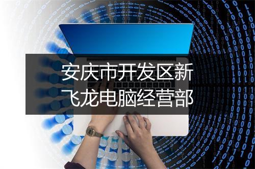安庆市开发区新飞龙电脑经营部