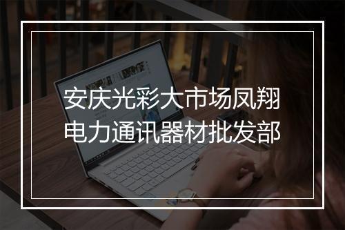 安庆光彩大市场凤翔电力通讯器材批发部
