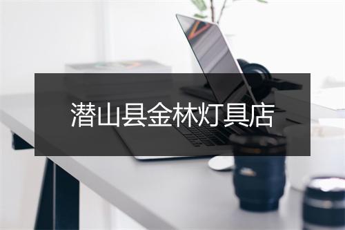 潜山县金林灯具店