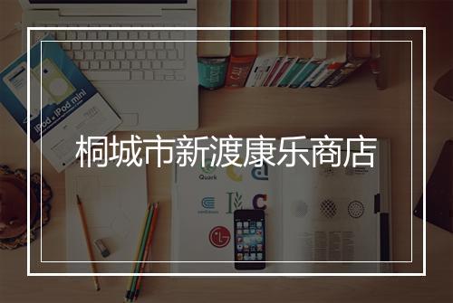 桐城市新渡康乐商店