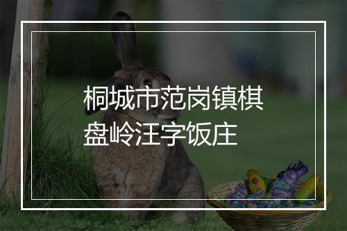 桐城市范岗镇棋盘岭汪字饭庄