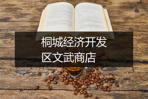 桐城经济开发区文武商店