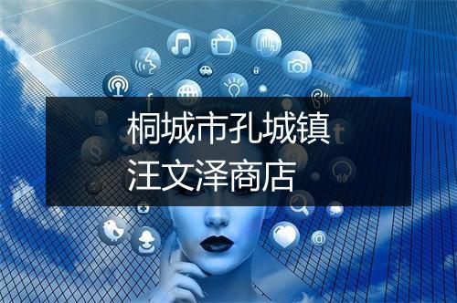 桐城市孔城镇汪文泽商店