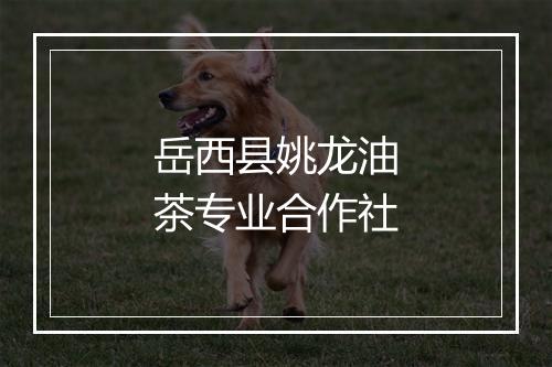 岳西县姚龙油茶专业合作社