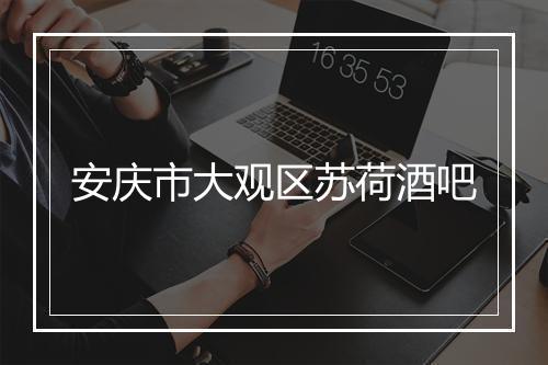 安庆市大观区苏荷酒吧