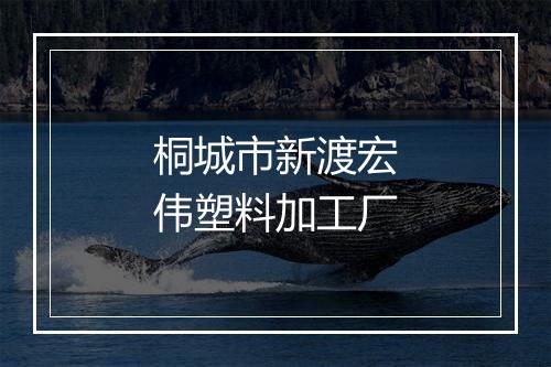 桐城市新渡宏伟塑料加工厂