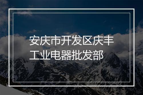 安庆市开发区庆丰工业电器批发部