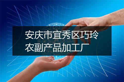 安庆市宜秀区巧玲农副产品加工厂