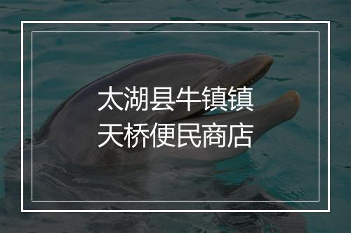 太湖县牛镇镇天桥便民商店