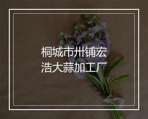 桐城市卅铺宏浩大蒜加工厂