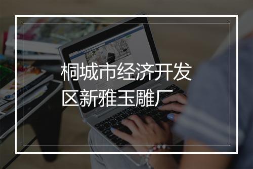 桐城市经济开发区新雅玉雕厂