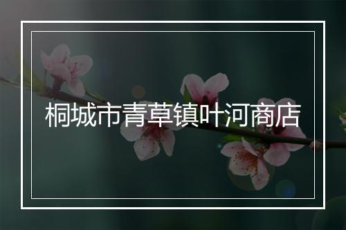 桐城市青草镇叶河商店