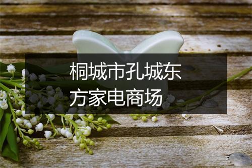 桐城市孔城东方家电商场