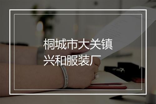 桐城市大关镇兴和服装厂
