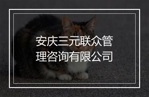 安庆三元联众管理咨询有限公司