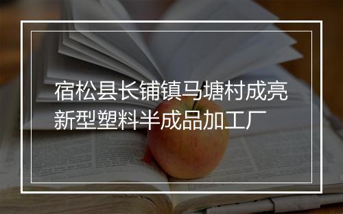 宿松县长铺镇马塘村成亮新型塑料半成品加工厂