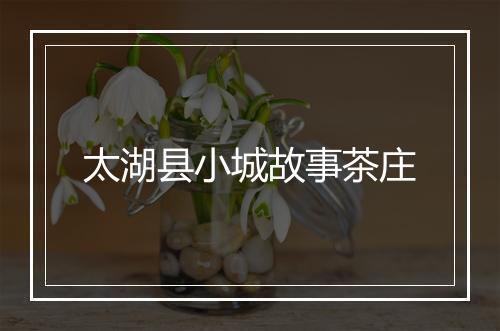 太湖县小城故事茶庄