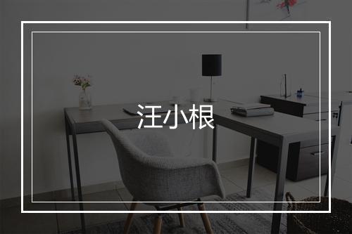 汪小根