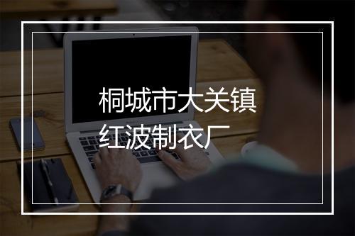 桐城市大关镇红波制衣厂