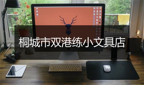 桐城市双港练小文具店
