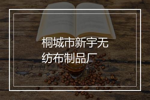 桐城市新宇无纺布制品厂