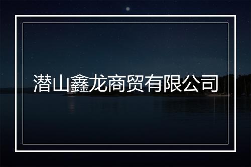 潜山鑫龙商贸有限公司