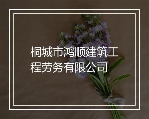 桐城市鸿顺建筑工程劳务有限公司
