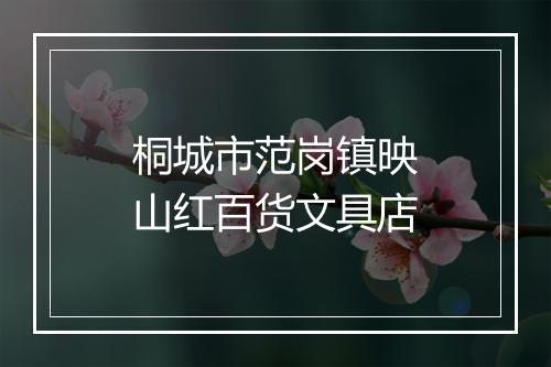 桐城市范岗镇映山红百货文具店