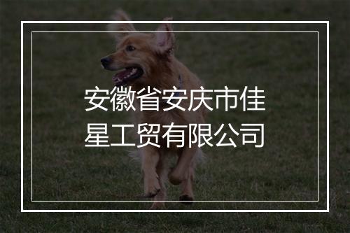 安徽省安庆市佳星工贸有限公司