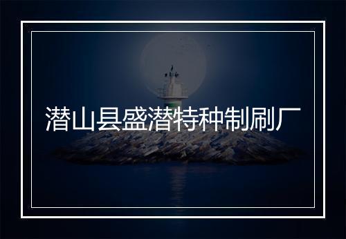 潜山县盛潜特种制刷厂