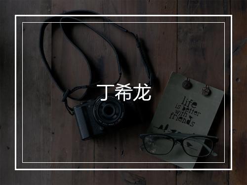 丁希龙
