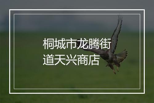桐城市龙腾街道天兴商店