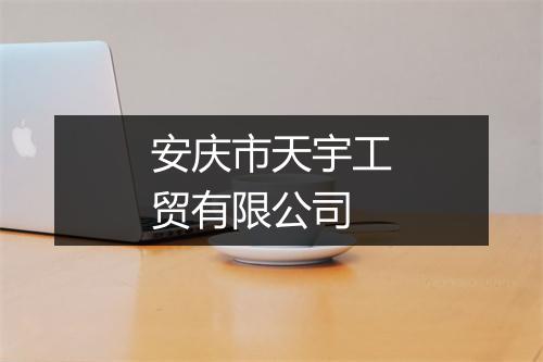 安庆市天宇工贸有限公司