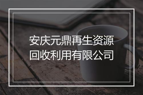 安庆元鼎再生资源回收利用有限公司