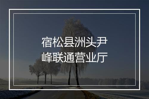 宿松县洲头尹峰联通营业厅