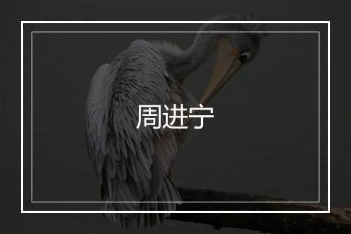 周进宁