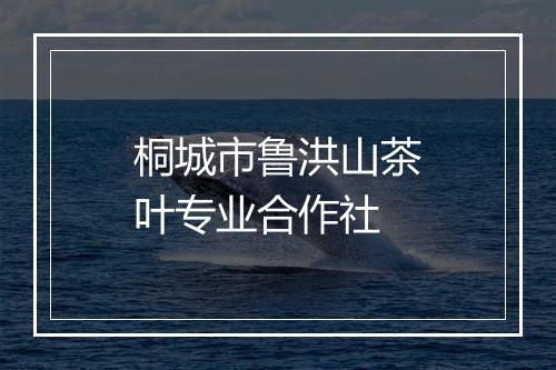 桐城市鲁洪山茶叶专业合作社
