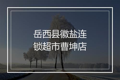 岳西县徽盐连锁超市曹坤店