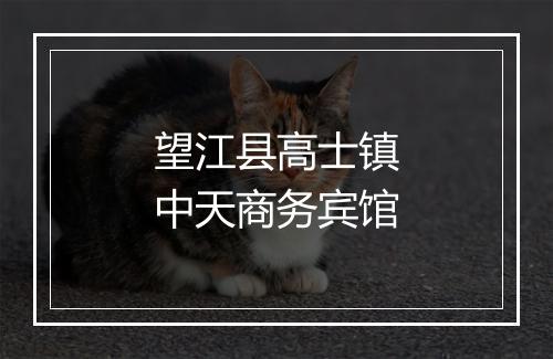 望江县高士镇中天商务宾馆