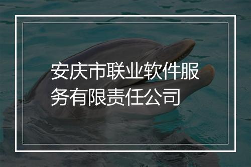 安庆市联业软件服务有限责任公司