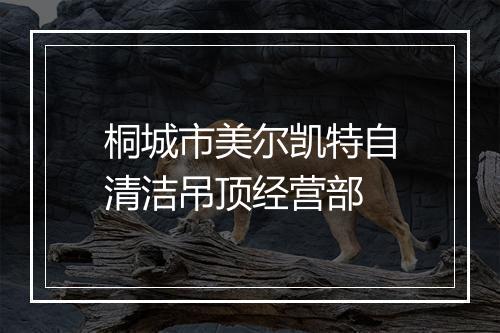 桐城市美尔凯特自清洁吊顶经营部